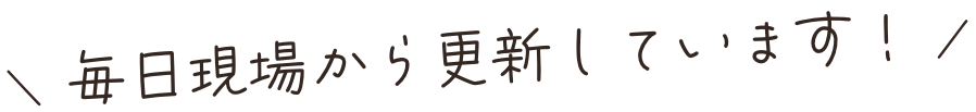 毎日現場から更新しています!